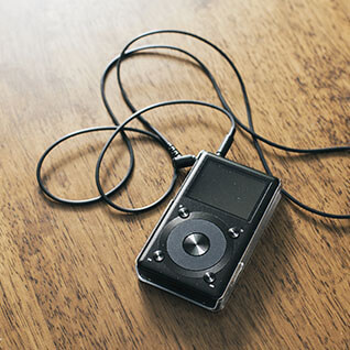 the MP3 Player